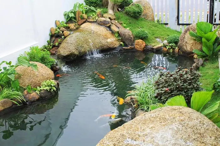 Sửa chữa hồ cá koi bị rò rỉ nước - Giải pháp hiệu quả cho sở thích yêu cá