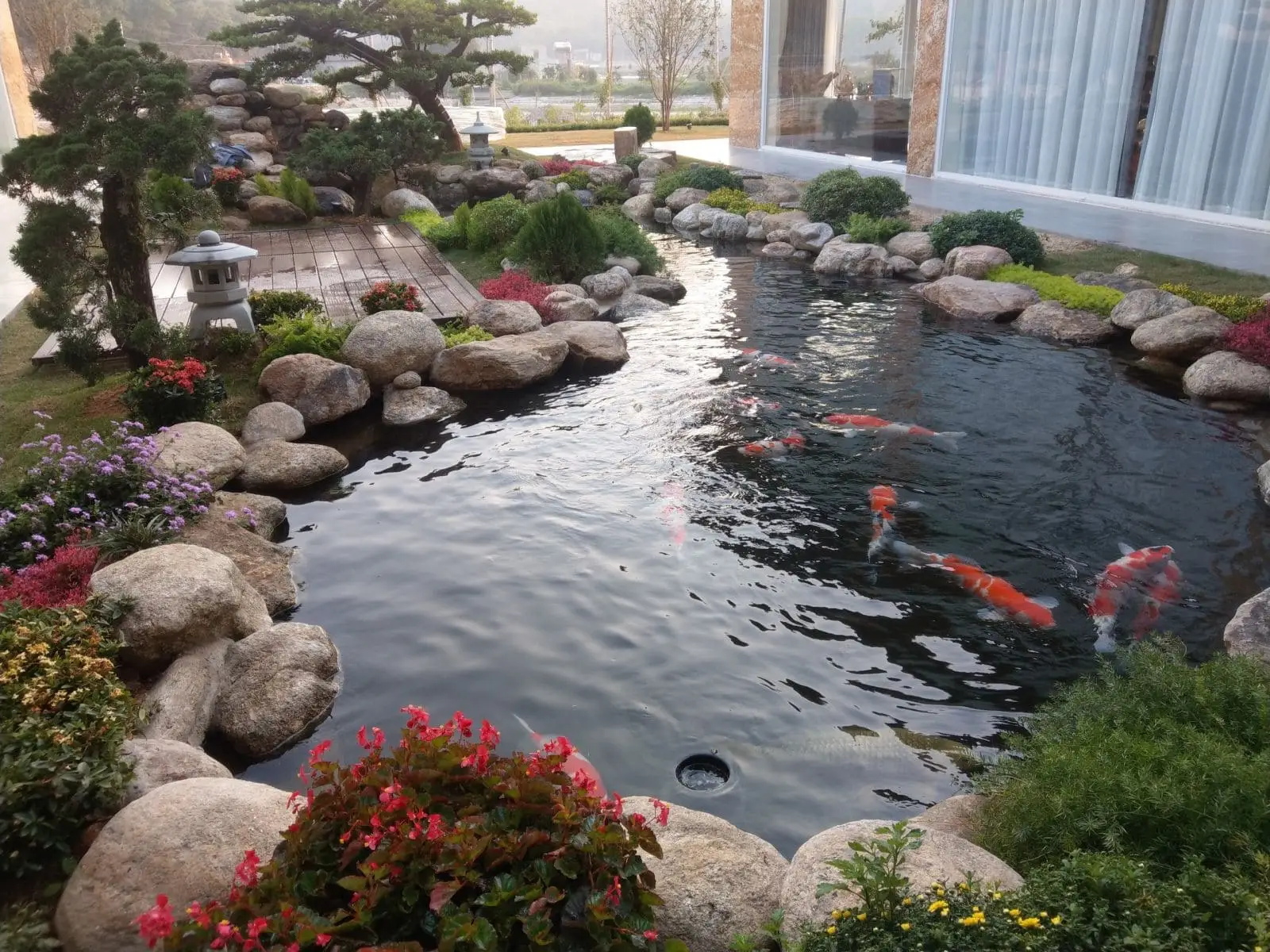 Sửa chữa hồ cá koi bị rò rỉ nước - Giải pháp hiệu quả cho sở thích yêu cá