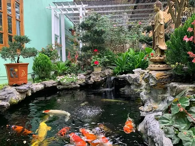 Xây Dựng Hồ Cá Koi Ngoài Trời - Sáng Tạo Không Gian Đẹp và Thư Giãn