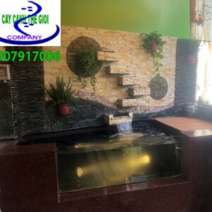 Công trình hồ cá koi Anh Tuấn - Bình Tân