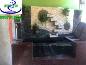 Công trình hồ cá koi Anh Tuấn - Bình Tân