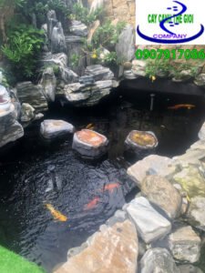 Công trình hồ cá koi cô Vân - Quận 2
