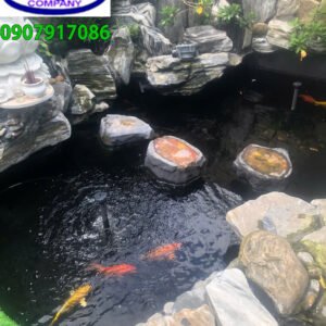 Công trình hồ cá koi cô Vân - Quận 2