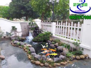 Hồ Cá koi anh Việt Quận 8