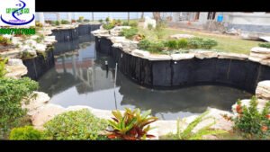 Hồ cá Koi anh Nam quận 7