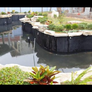 Hồ cá Koi anh Nam quận 7