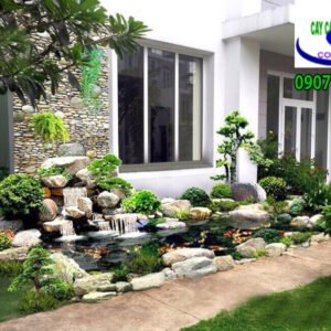 Hồ cá koi Anh Tiến Vĩnh Lộc
