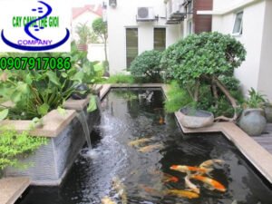 Hồ cá koi anh Hùng quận 7