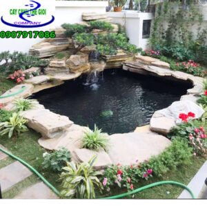 Hồ cá koi anh Long vĩnh lộc A