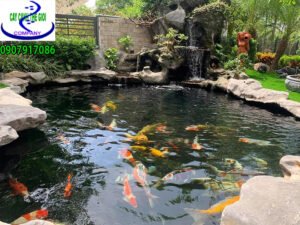 Hồ cá koi anh Nam Long An