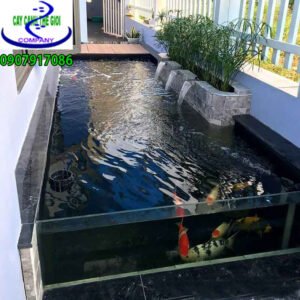 hồ cá koi đẹp