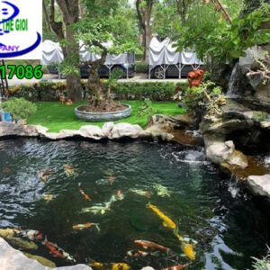Hồ cá koi đon giản
