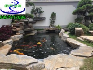 Hồ cá koi sân vườn