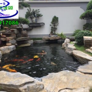 Hồ cá koi sân vườn
