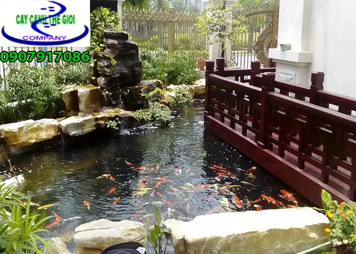 Hồ cá koi sân vườn đẹp - Bí quyết tạo nên một góc thư giãn hoàn hảo