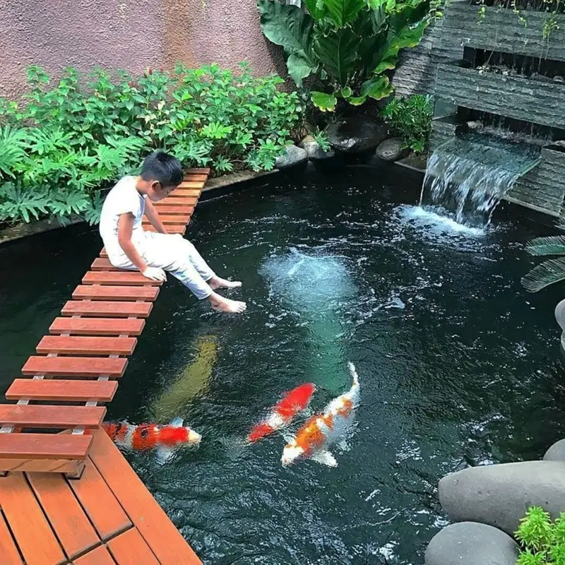 Tận hưởng không gian sống đẹp mắt với Hồ cá koi gầm cầu thang