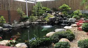 Thiết kế hồ cá koi ban công - Tạo không gian sống xanh giữa lòng đô thị