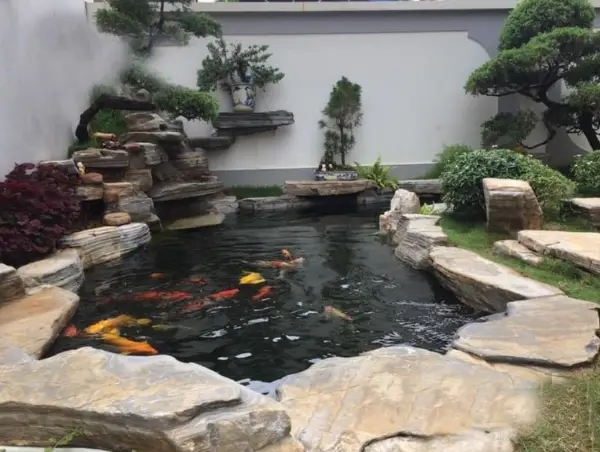 Thiết kế hồ cá koi ban công - Tạo không gian sống xanh giữa lòng đô thị