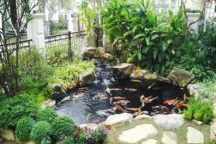 Thiết kế hồ cá koi ban công - Tạo không gian sống xanh giữa lòng đô thị