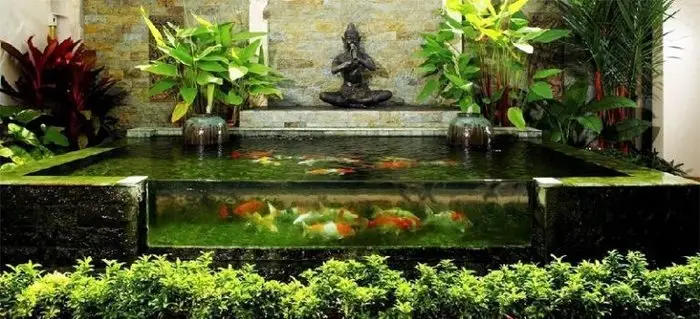 Thiết kế hồ cá koi ban công - Tạo không gian sống xanh giữa lòng đô thị