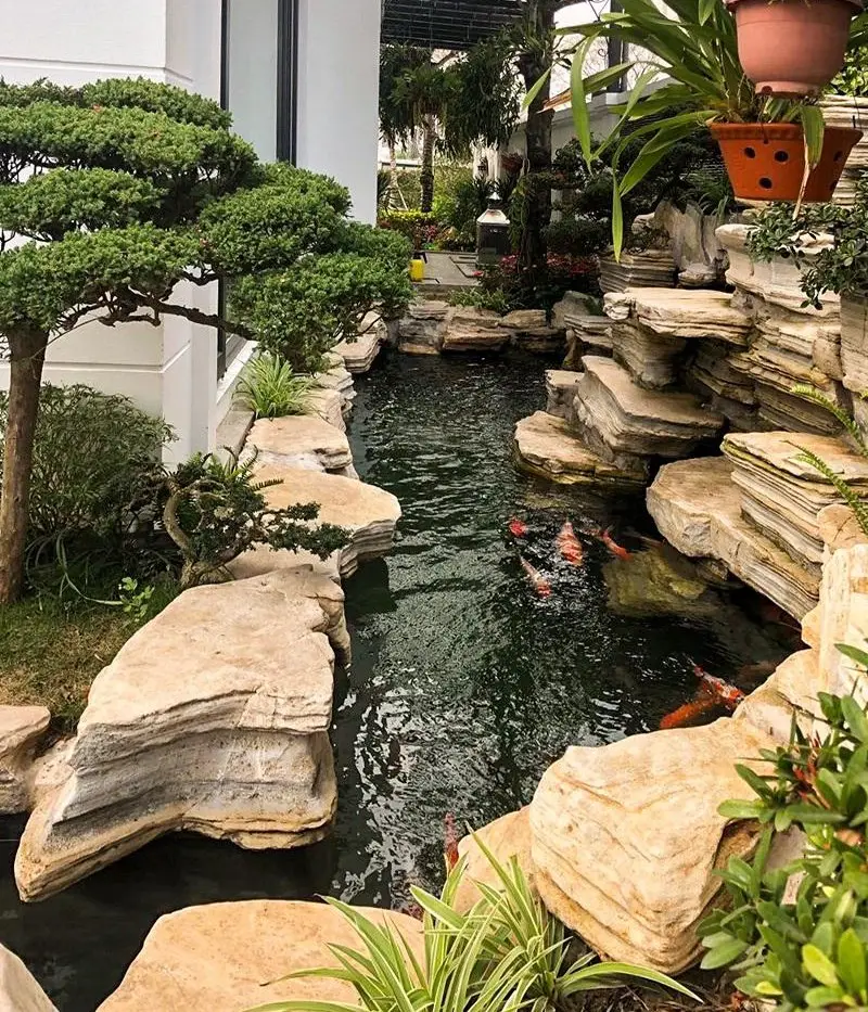 Thiết Kế Hồ Cá Koi Phòng Khách - Mang Đến Không Gian Sống Thú Vị